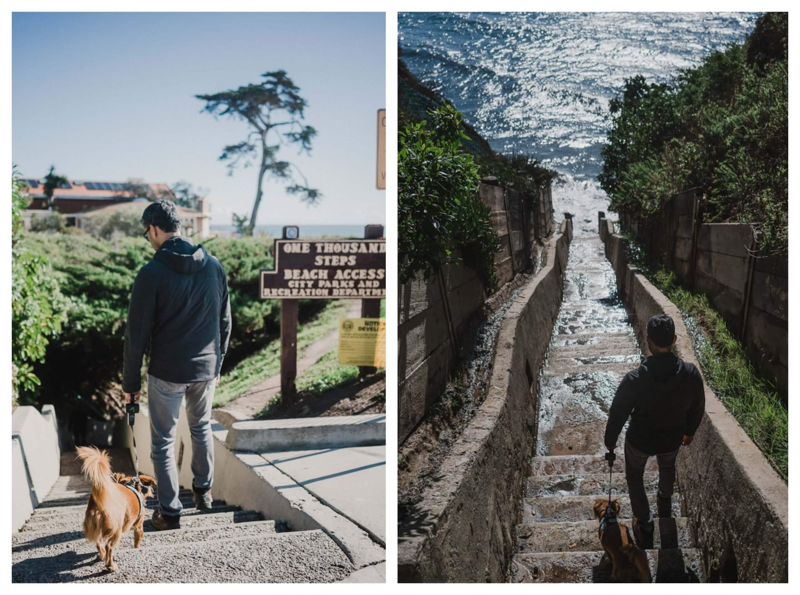 One thousand steps beach is an off leash dog friendly beach in Santa Barbara