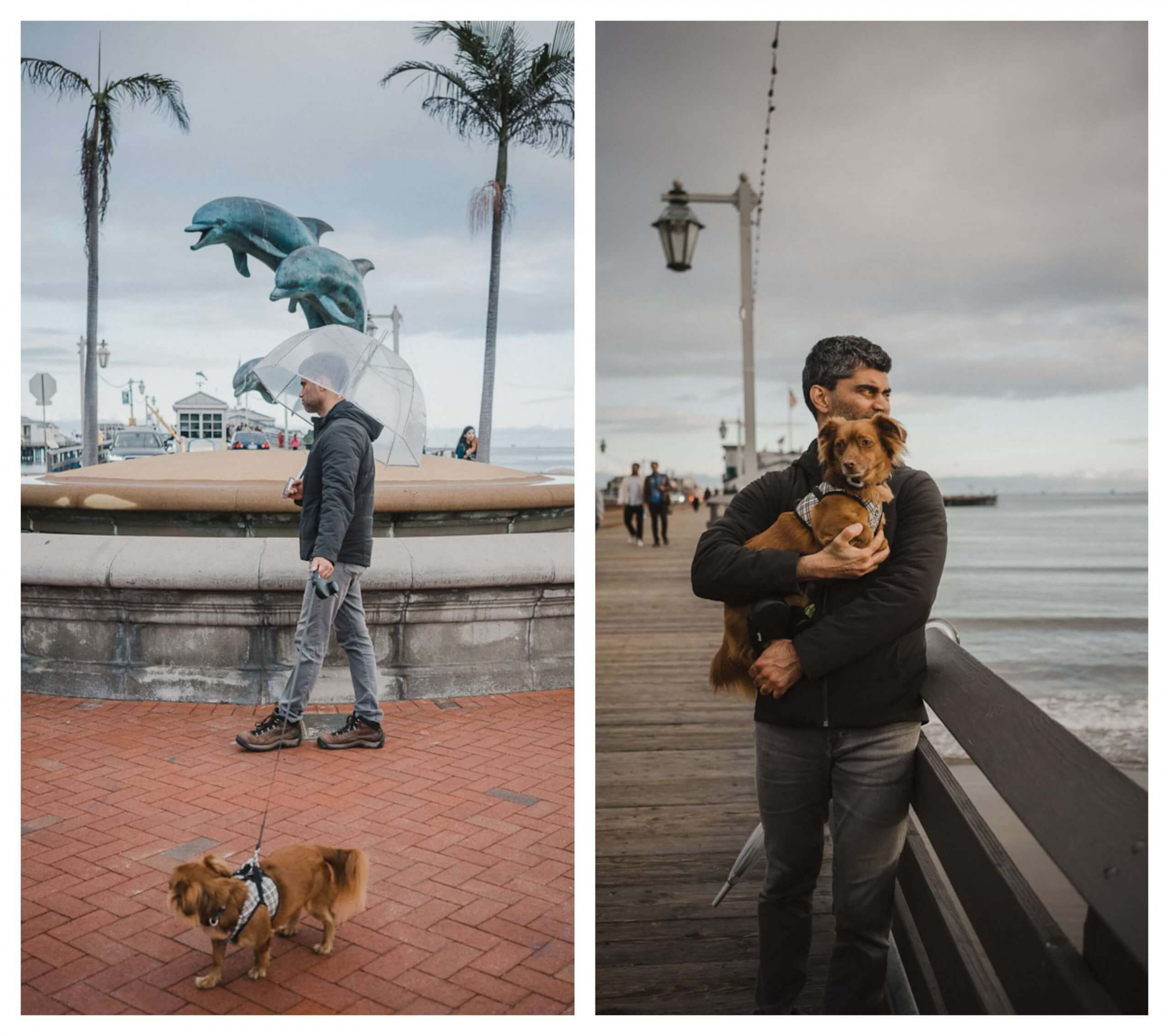 Santa Barbara Pier and Stearns Wharf are dog friendly