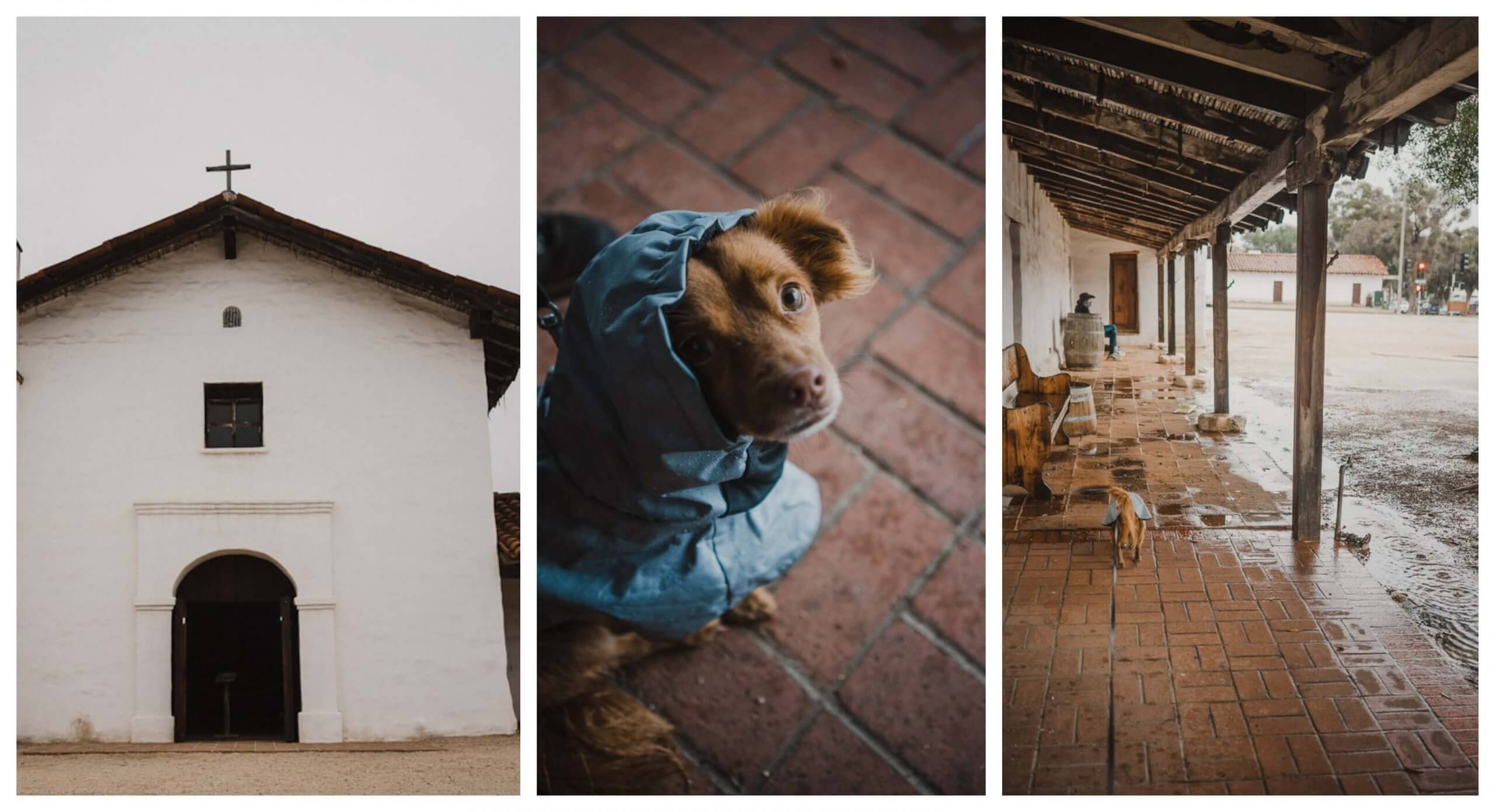 Presidio of Santa Barbara-you can walk you dog on the lawn outside