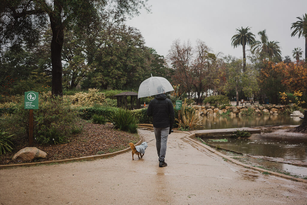 Alice Keck Memorial park in Santa Barbara allows dogs