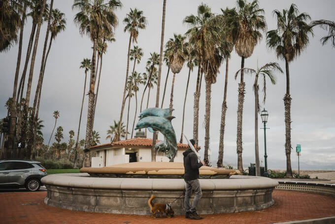 This is a dog friendly guide to Santa Barbara featuring the best dog friendly things to do in Santa Barbara, dog friendly santa barbara restaurants, dog friendly hotels in Santa barbara, dog friendly beaches in Santa Barbara