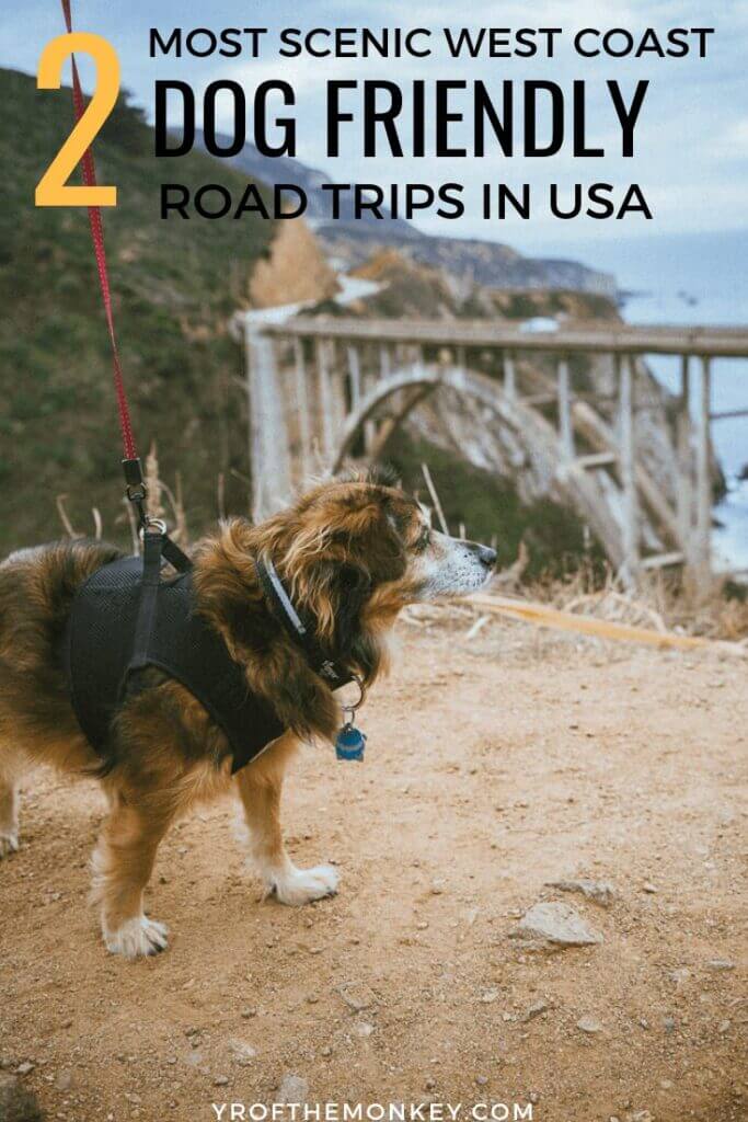 Looking for dog friendly road trips along the Pacific coast? Then read this guide to the best road trips with your dog in Northern California which have spectacular views, dog friendly attractions and stops. Pin this to your pet travel or road trip or California, USA board now #travelwithdogs #petfriendly #dogfriendly #USA #westcoast #Pacific #California #17miledrive #coastalredwoods