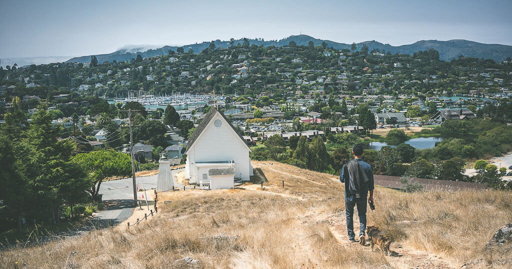 Dog friendly hikes in Marin: a spectacular trail in Tiburon with dogs