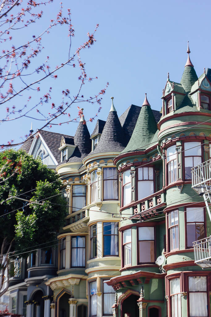 What to do in San Francisco on a layover