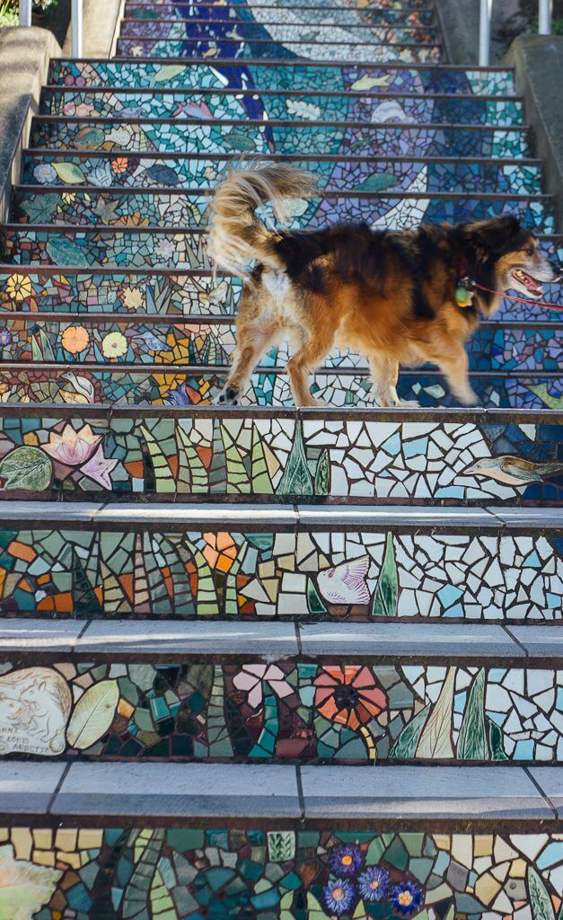 Grand View Park, 16th Avenue Mosaic steps, tiled steps of 16th Avenue