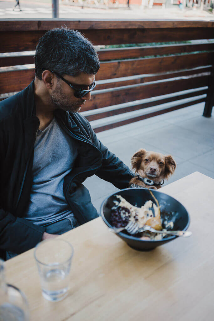 dog friendly restaurants in Sacramento