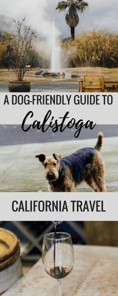 This is a guide to dog-friendly Calistoga (USA), California's hidden gem. This small town in wine country, Napa valley, is filled with lots of dog friendly activities such as old faithful geyser and petrified forest, restaurants and wineries that welcome dogs. Pin this to your California or USA board for a relaxing weekend in Napa's best kept secret. #dogfriendlytravel #Calistoga #napavalley #California #USA #travelwithpets