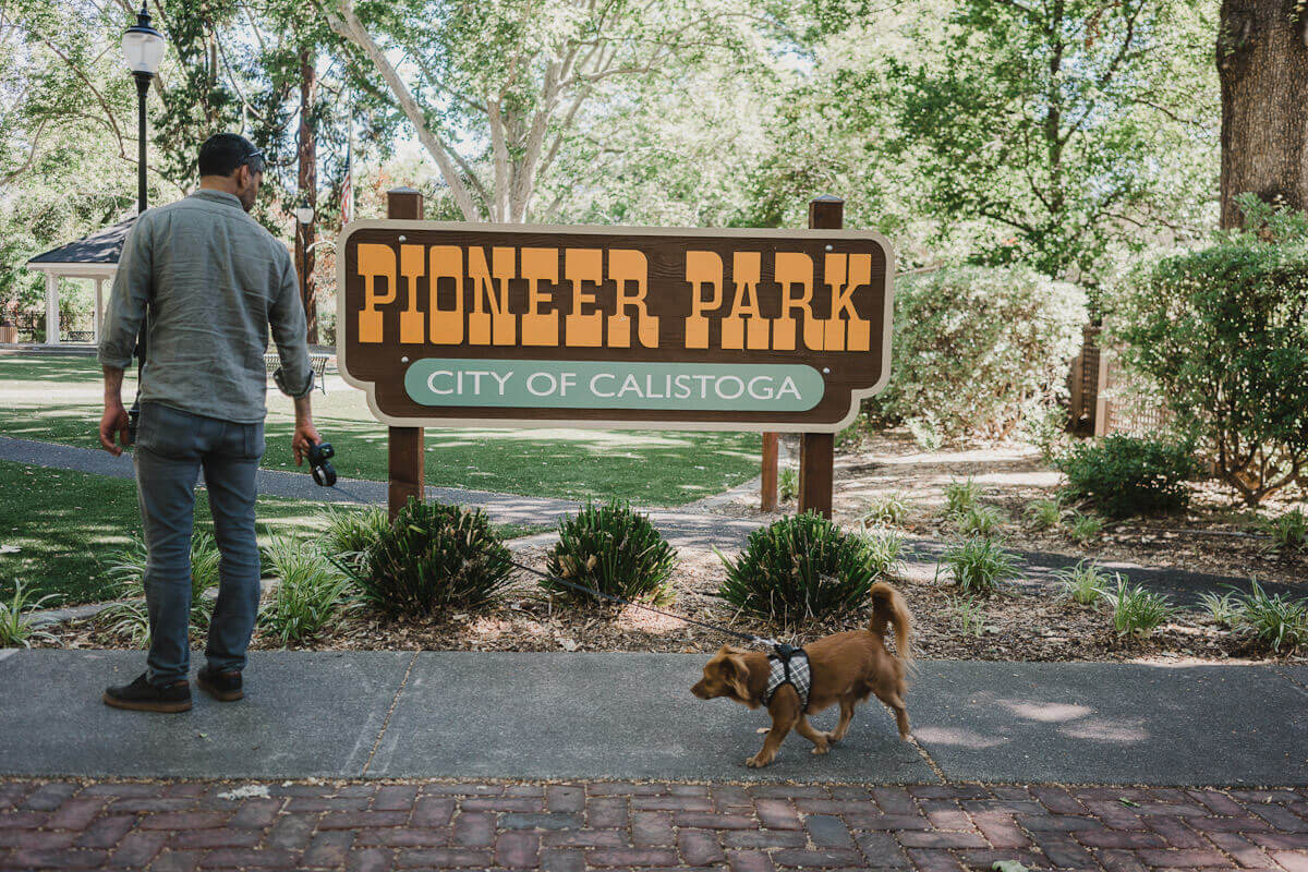 dog park in Calistoga: Pioneer park