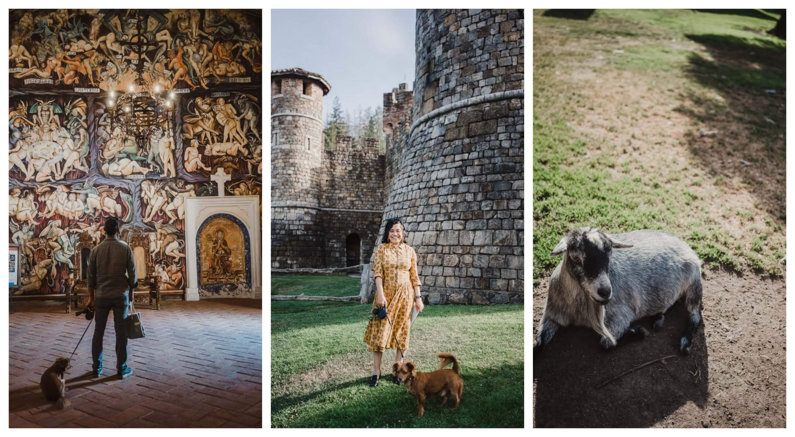 Dog friendly wineries in Calistoga-Castello di Amorosa