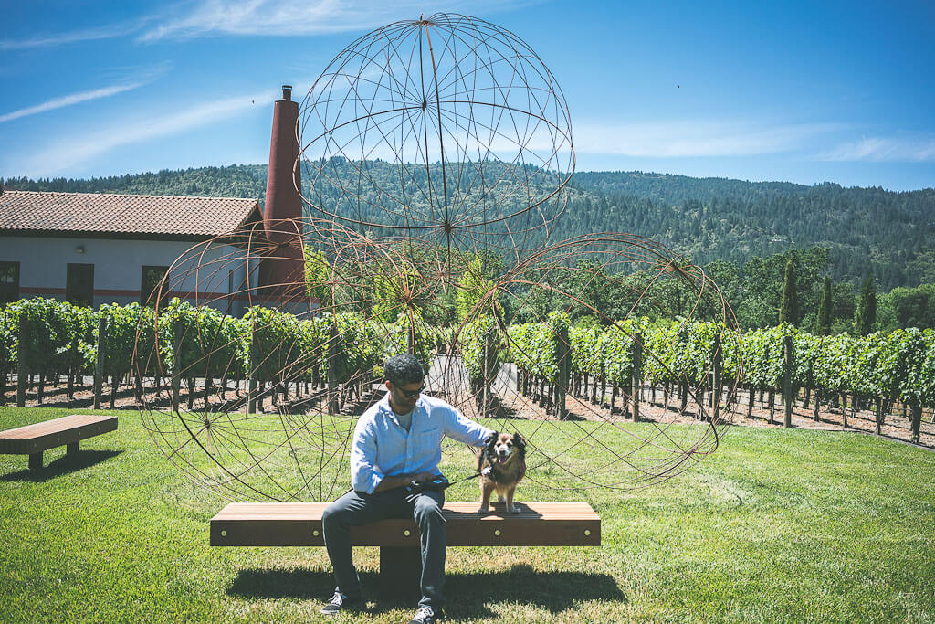 Clos Pegase is a high end dog friendly winery in Calistoga