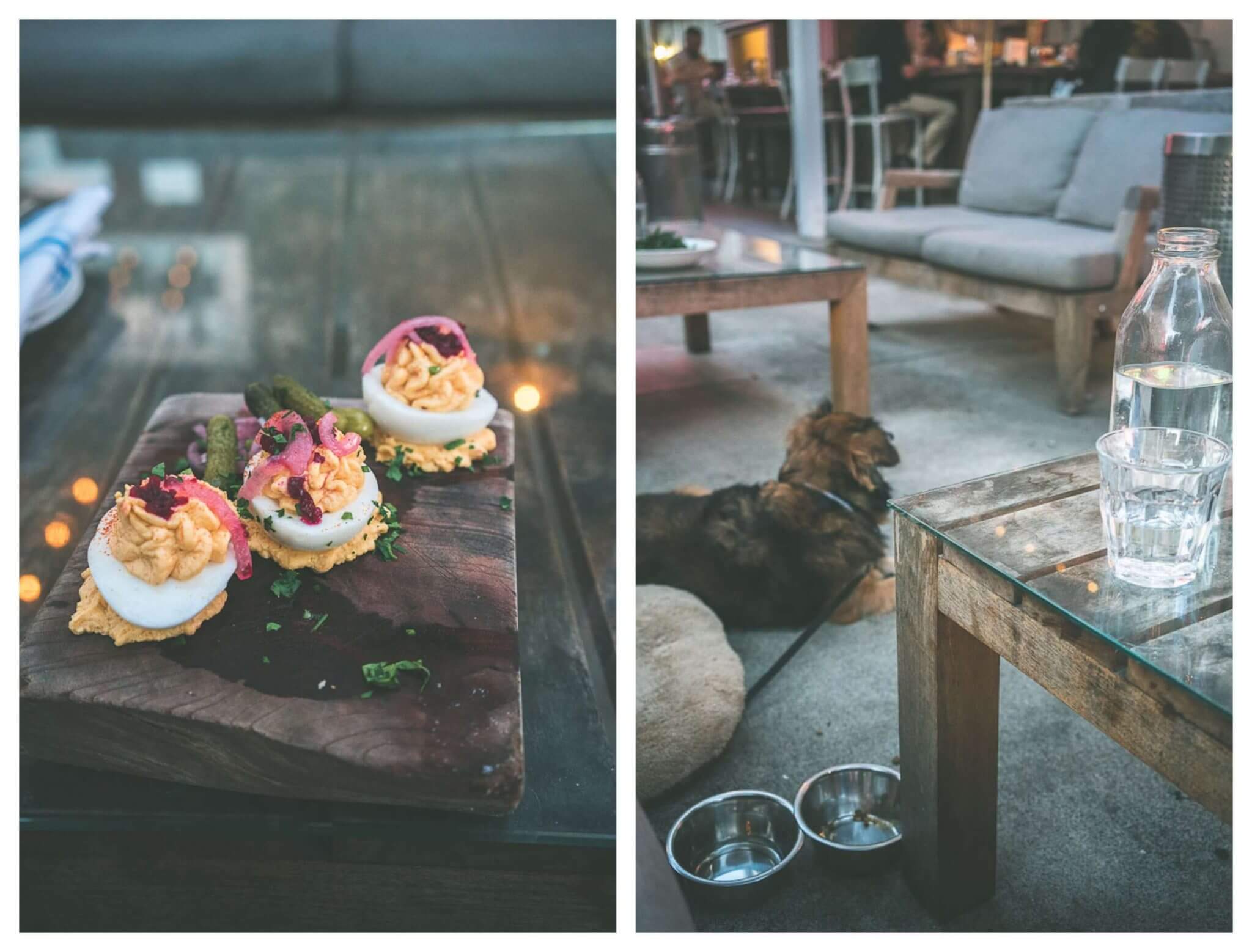 Farmstead is a dog friendly Napa restaurant, St. helena restaurant that is pet friendly