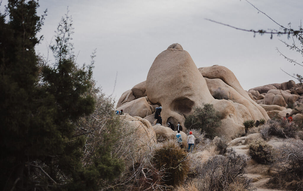 Skull rock Nature trail is an excellent hike to go on your 1 day in Joshua tree