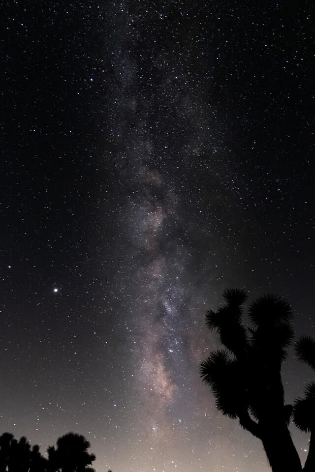 Stargazing at Joshua Tree