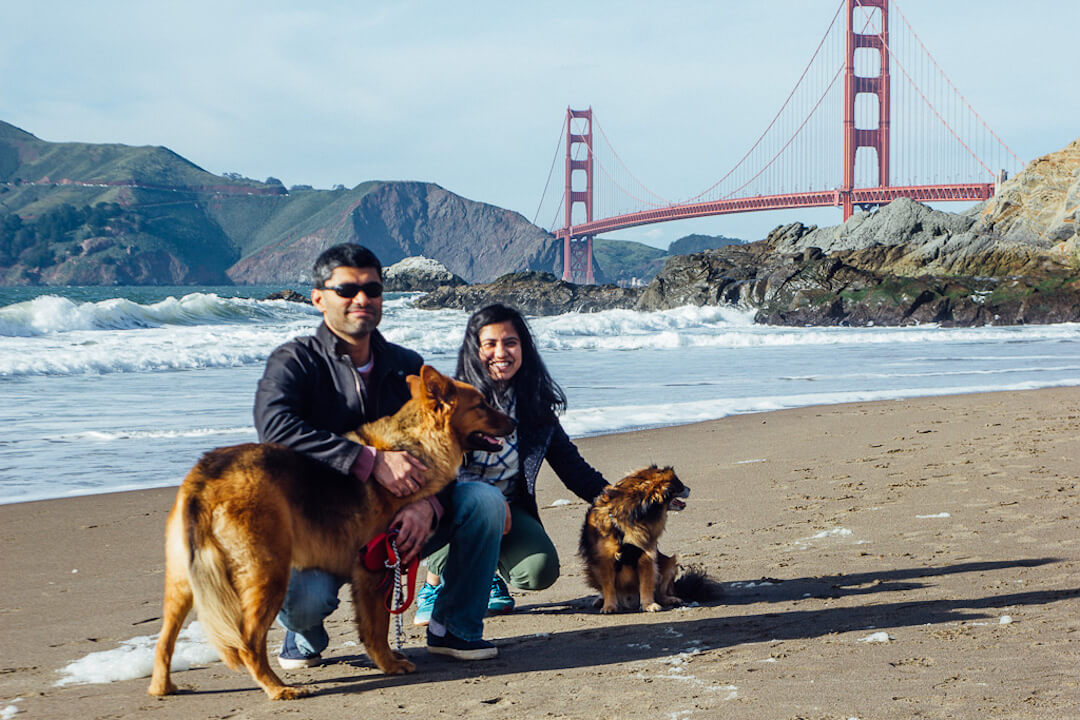 Ocean beach is a dog friendly beach in San Francisco Presidio