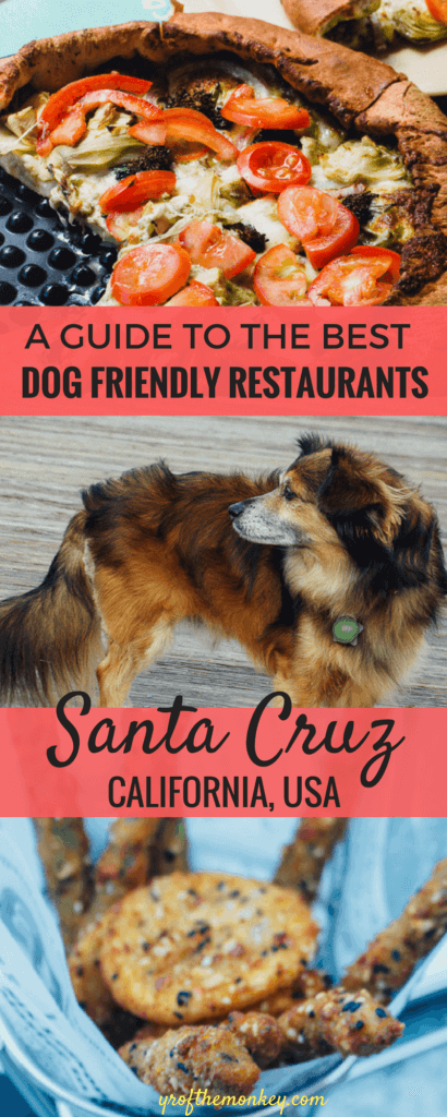 Visiting Santa Cruz, California with your dog?Then look no further than this delicious post featuring the best dog friendly restaurants in Santa Cruz. This article was shared by the Santa Cruz tourism board too! Pin it to your dog friendly travel or California board for reference! #travelwithdogs #dogfriendlyrestaurants #santacruz #californiatravel #foodietravel