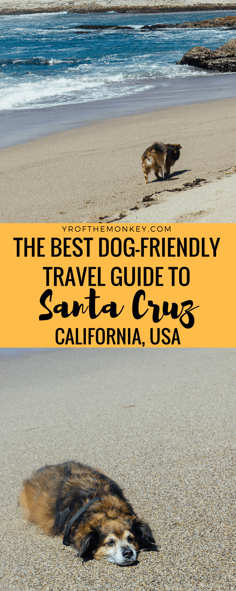 This is the best dog friendly travel guide to Santa Cruz, California USA. Filled with many dog friendly activities such as beach time and Redwoods plus dog friendly restaurant recommendations, this is the perfect pet friendly travel guide. Travel with dogs. Dog Friendly travel. Visit California. California travel. Santa Cruz beyond the boardwalk. 