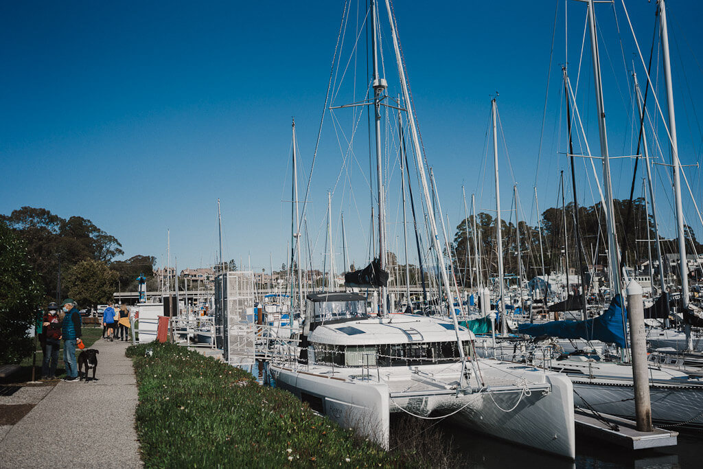 dog friendly Santa Cruz harbor