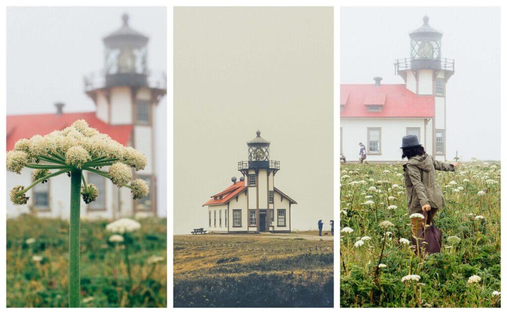 Point Cabrillo lighthouse is a dog friendly lighthouse in Mendocino