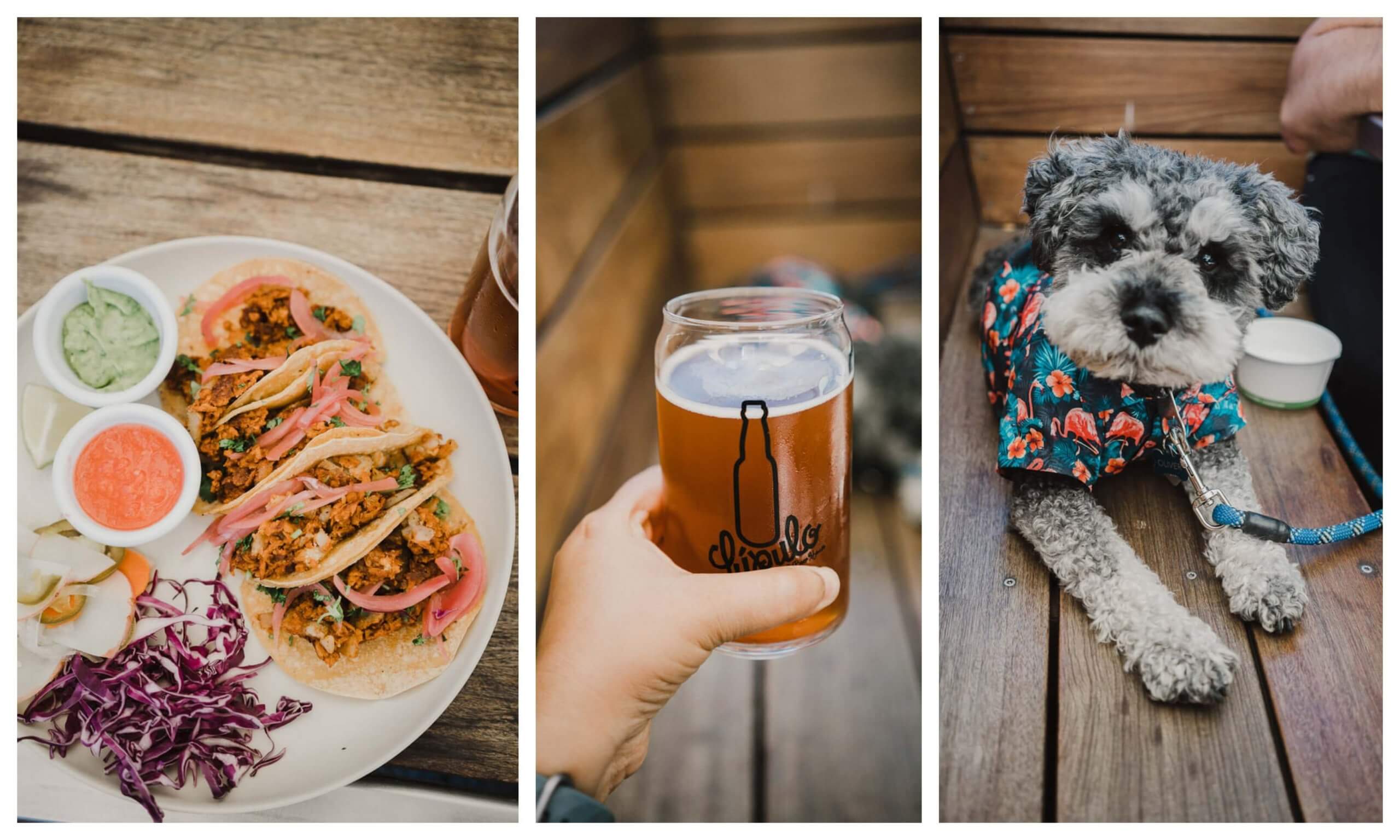 dog friendly restaurants in Santa Cruz