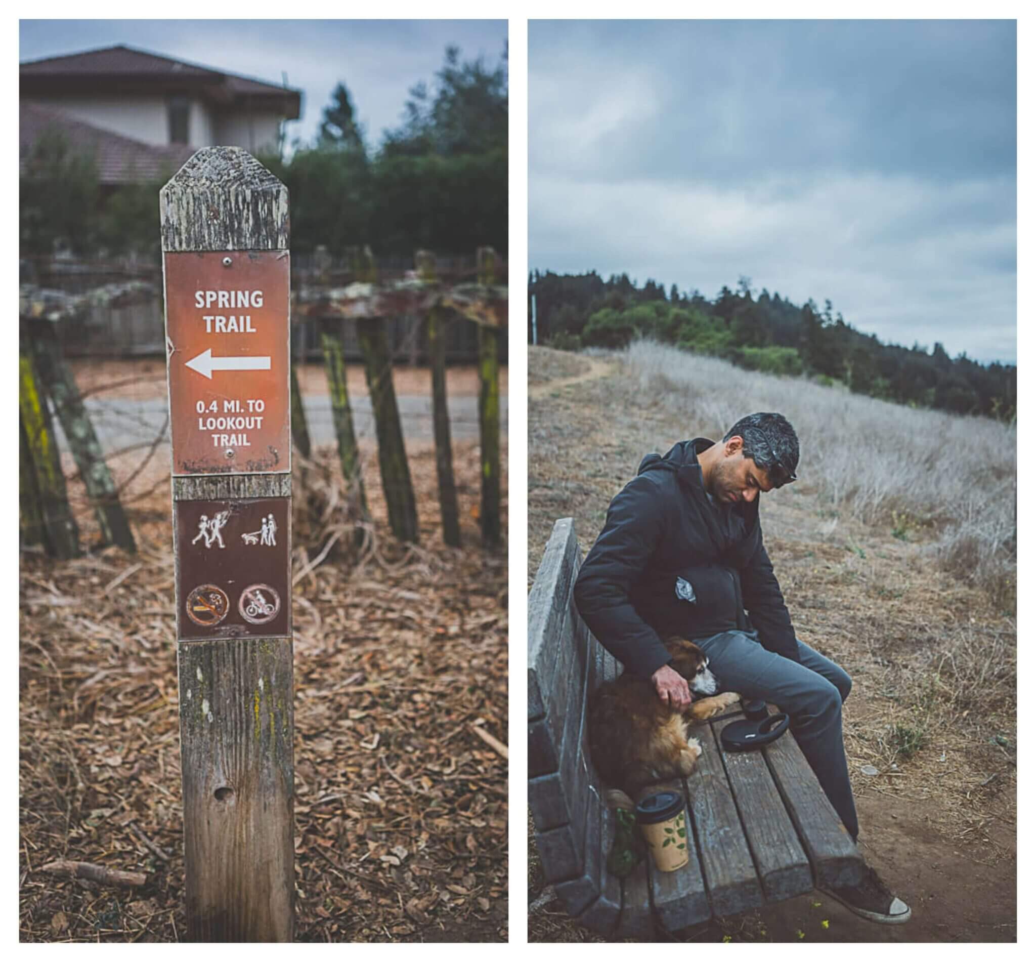 The perfect dog friendly Santa Cruz guide for your pup!