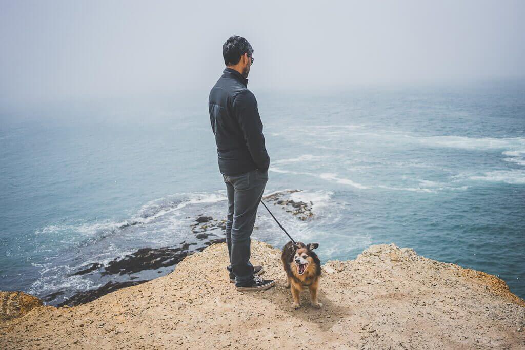 dog friendly guide to Mendocino