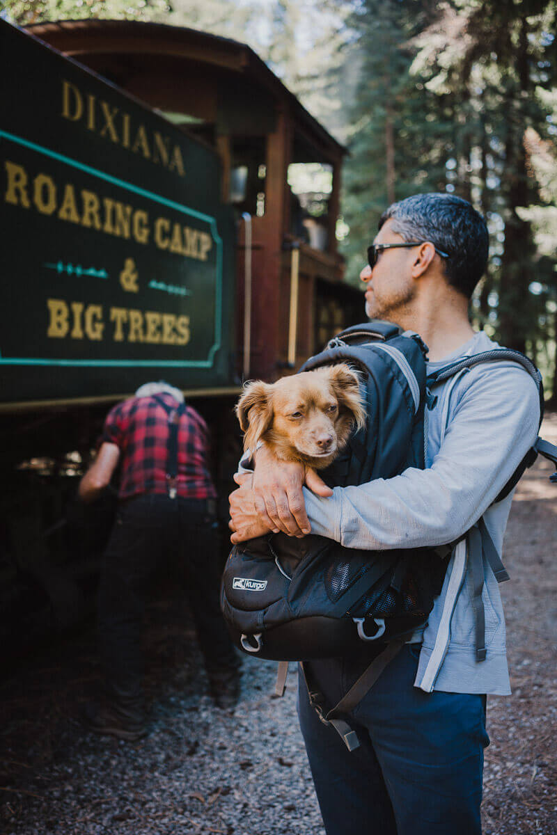 Dog friendly Santa Cruz roaring camp steam train ride