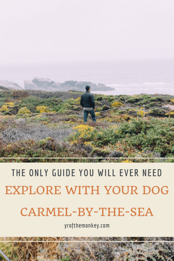 Dog Friendly Carmel: This is a dog friendly guide to Carmel by the Sea, a European town in California which is super welcoming to dogs. Read this guide for all dog friendly activities and complete list of dog friendly restaurants. Pin it to your Pet travel board today! #dogfriendlytravel #travelwithdogs #california