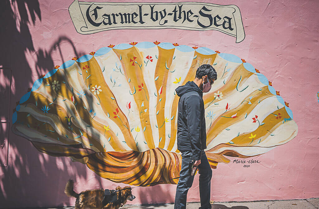a dog friendly guide to Carmel by the sea