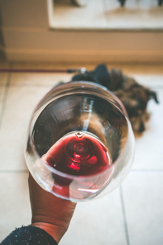 Dog friendly getaway from San Diego: visit Temecula for dog friendly wine tasting