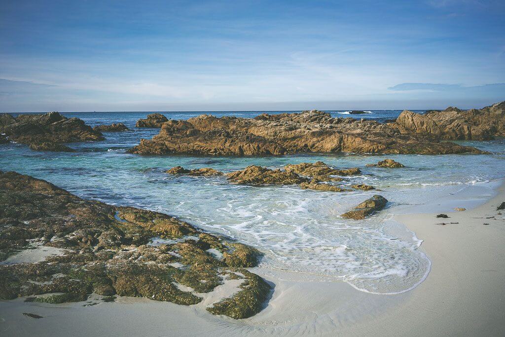 17 mile drive, dog friendly attractions carmel, dog friendly road trip in Carmel