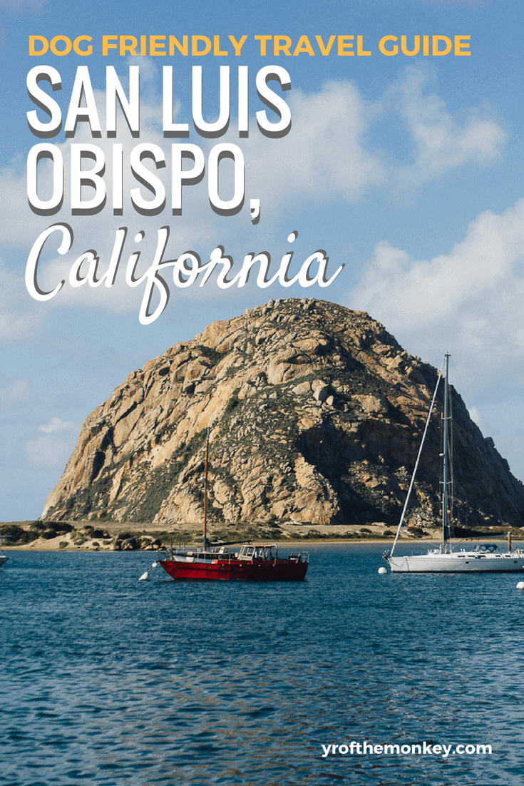 Dog Friendly travel to San Luis Obispo, California, USA. Lots of dog friendly vacation activities in Central coast California at Morro Bay, Paso Robles and surroundings.