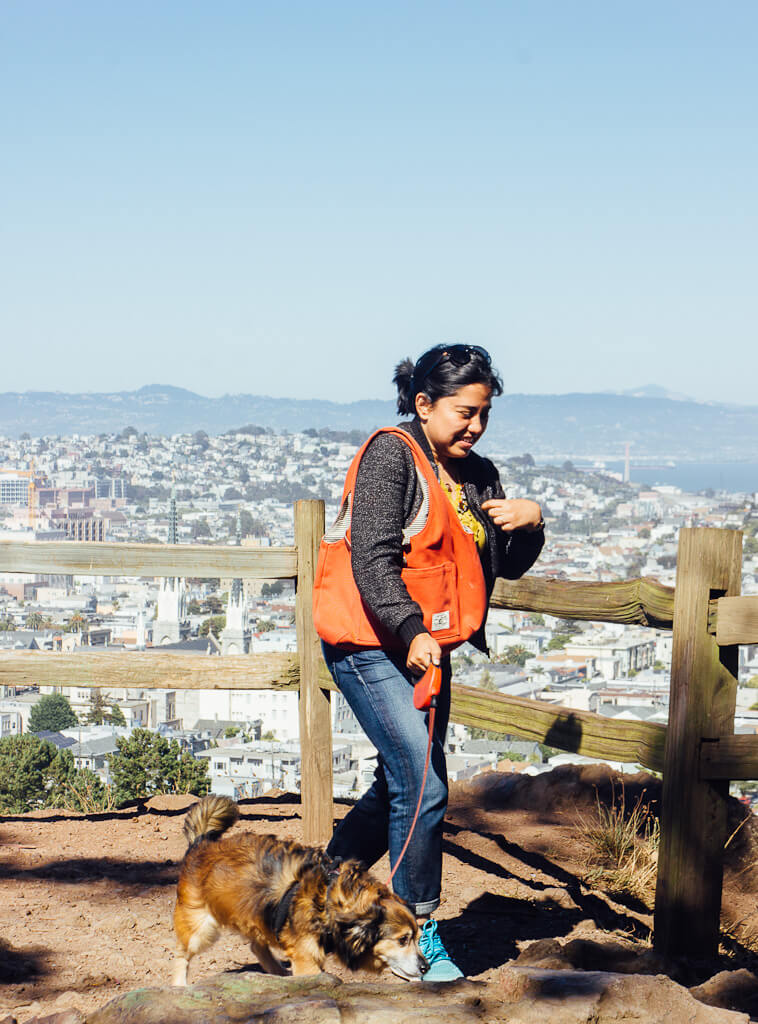 Billy Goat Hill has dog friendly hiking trails