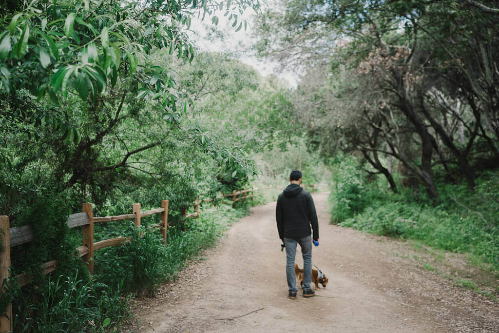 Dog friendly hiking in Oakland: Leona Canyon Regional Open Space Preserve