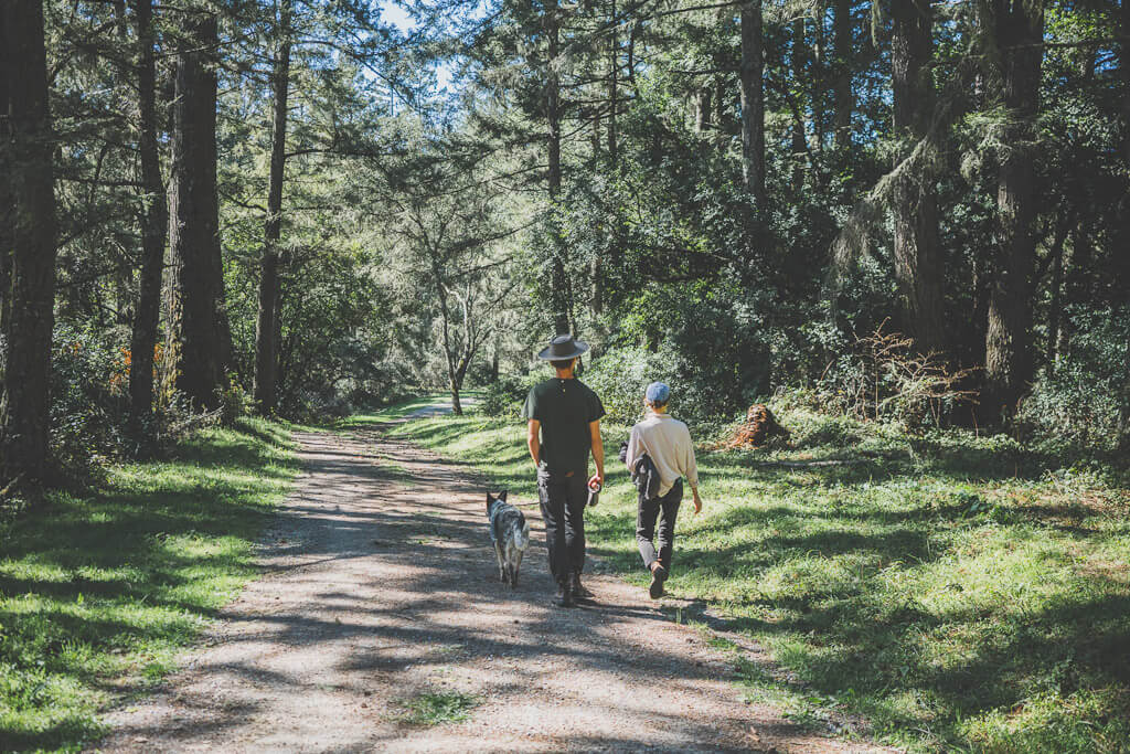 Dog friendly bay Area hikes -randall trail at Point Reyes