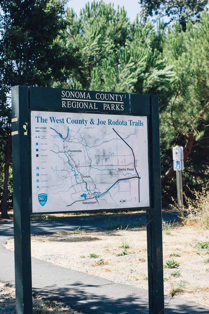 dog friendly hiking in San Francisco Bay area: Joe rodota trail in Sebastopol