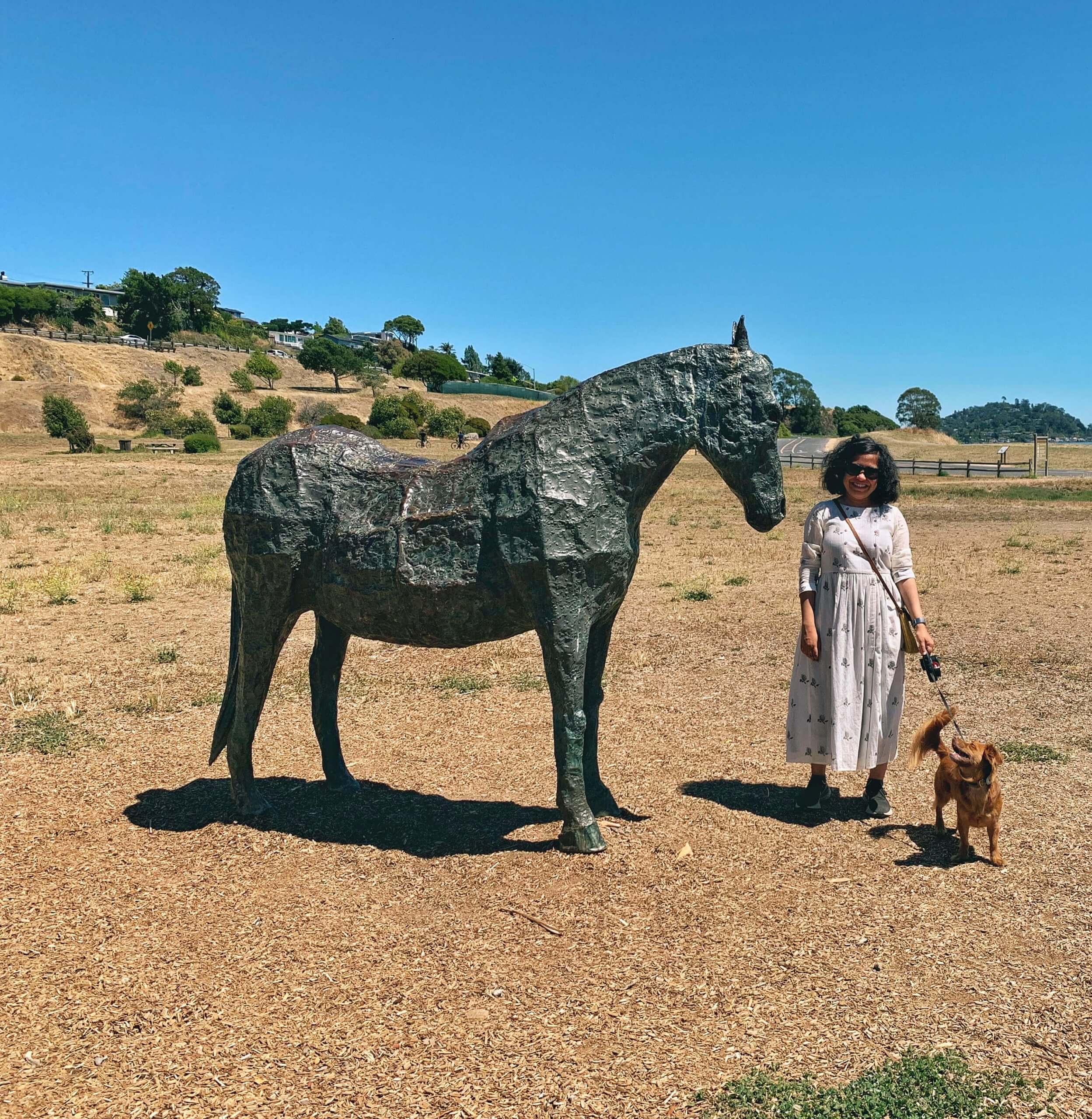 Dog friendly Bay Area hiking trails: Tiburon Historical Trail, Blackie's pasture