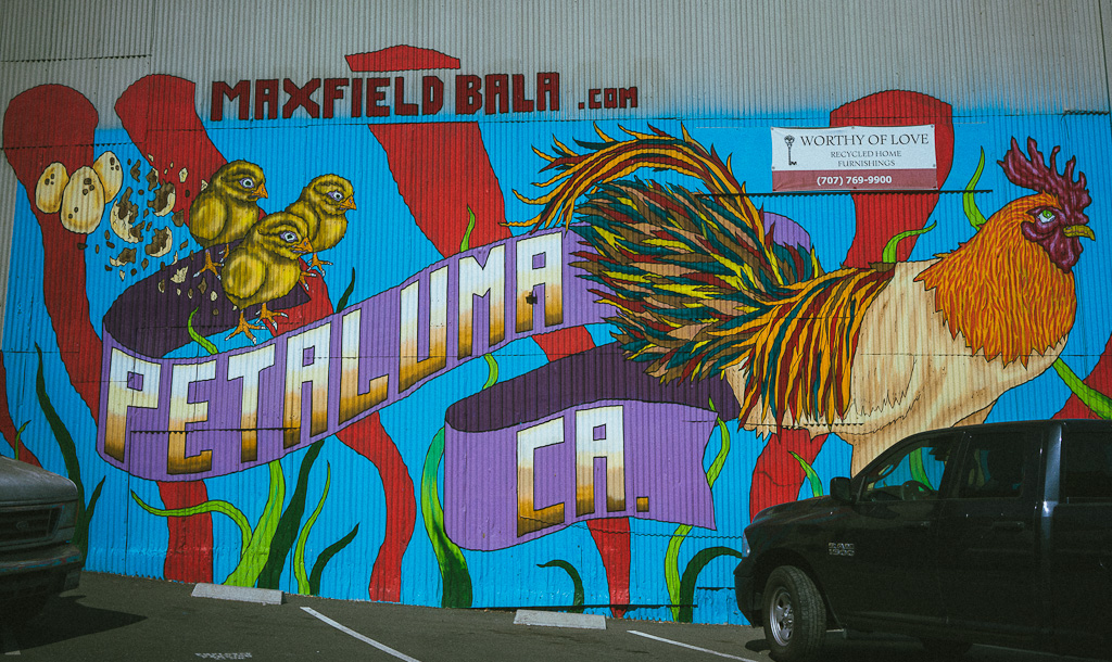Mural in Petaluma, California 