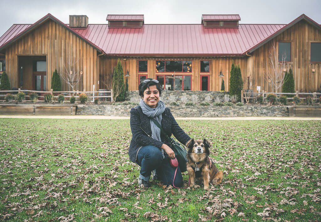 The best Lodi wineries for affordable wine tasting in California