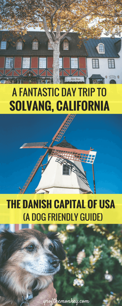 Dog Friendly Solvang is a guide to a day trip to Solvang, California with your dog and lists all dog friendly attractions, restaurants, wineries and pet friendly hotels. Read this post to discover the only Danish city in USA and pin it to your California travel or pet travel board now! #solvang #californiatravel #travelwithdogs #petfriendly #dogfriendly #USA