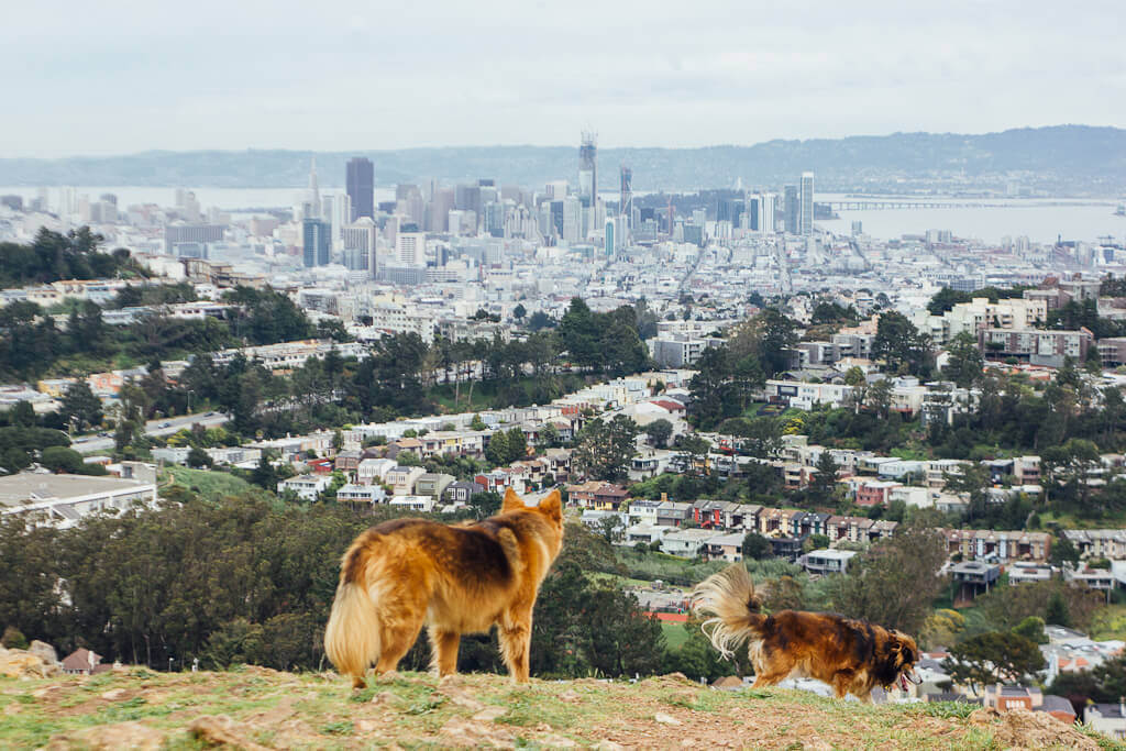 Mt. Davidson is one of the best photography spots in San Francisco