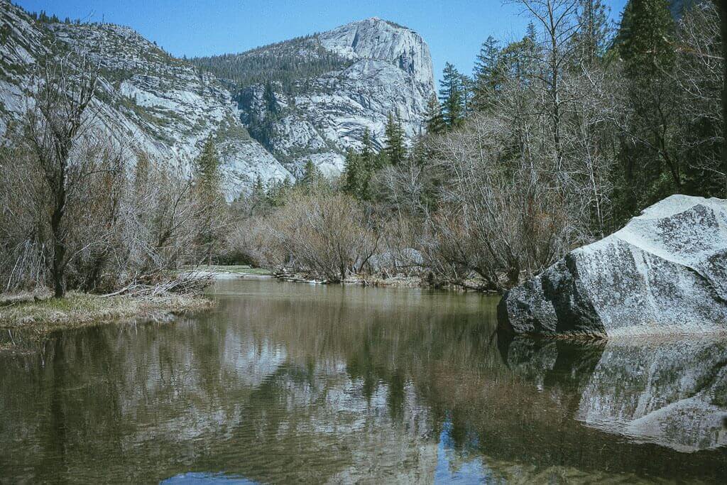 are dogs allowed at yosemite national park