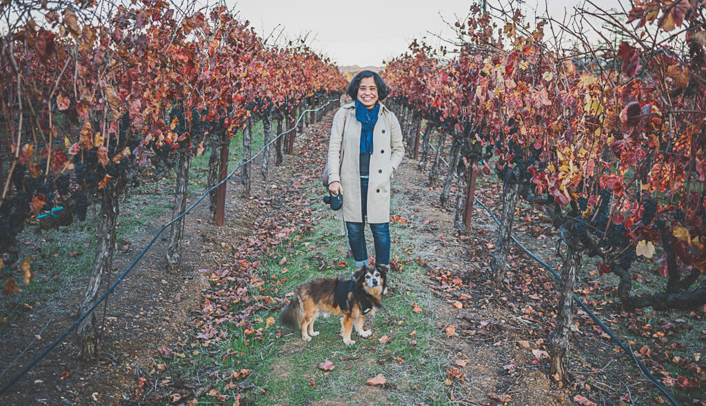 Dog friendly wine tasting at Sonoma winery, MacRostie Winery