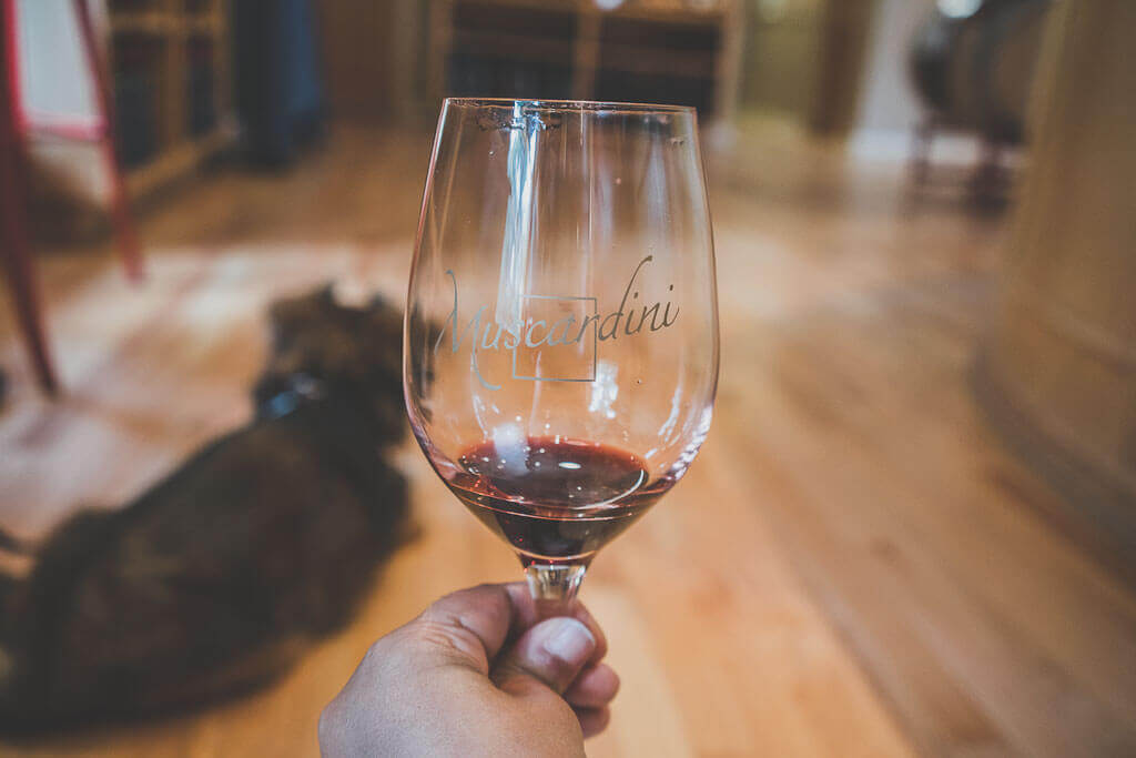 dog friendly wineries in Sonoma, dog friendly wine tasting in Sonoma, sonoma dog friendly wineries, California wineries that welcome dogs, dry creek wineries, Russian river wineries, dry creek valley, Healdsburg wineries, Kenwood wineries