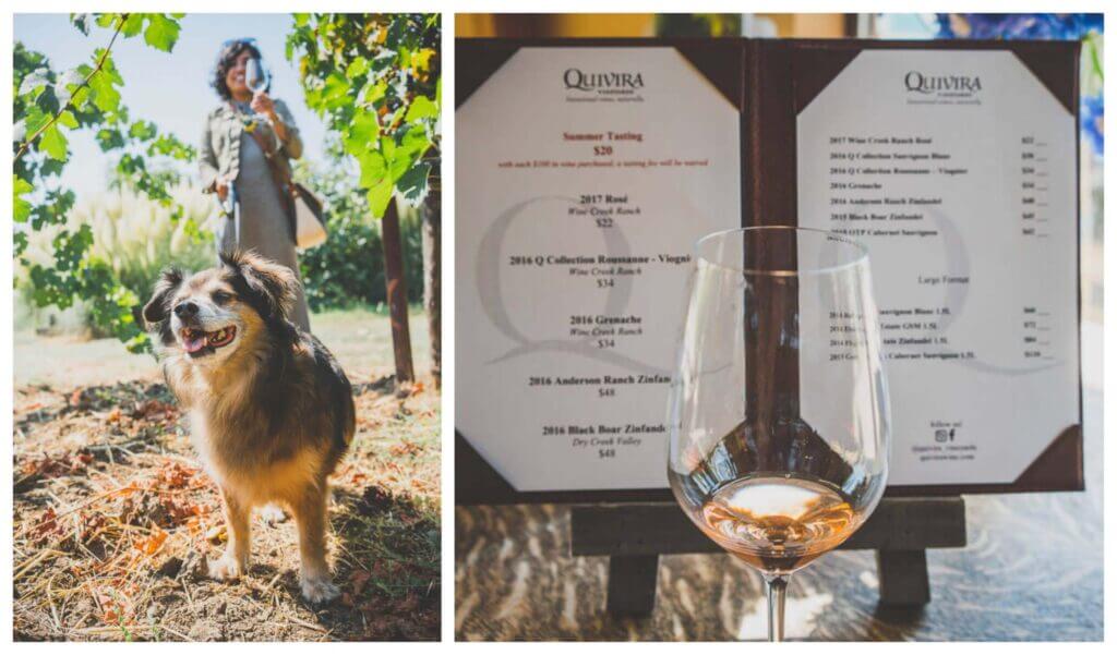 dog friendly wineries in Sonoma, dog friendly wine tasting in Sonoma, sonoma dog friendly wineries, California wineries that welcome dogs, dry creek wineries, Russian river wineries, dry creek valley, Healdsburg wineries, Kenwood wineries, Quivira