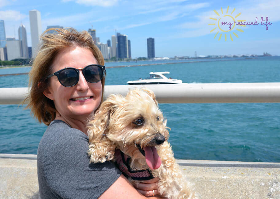 Most dog friendly cities in US, American cities that are dog friendly, dog friendly cities in USA, where to take your dog in USA, dog friendly Chicago