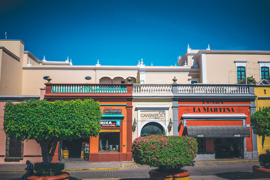 What to see in Tequila on a day trip from Guadalajara