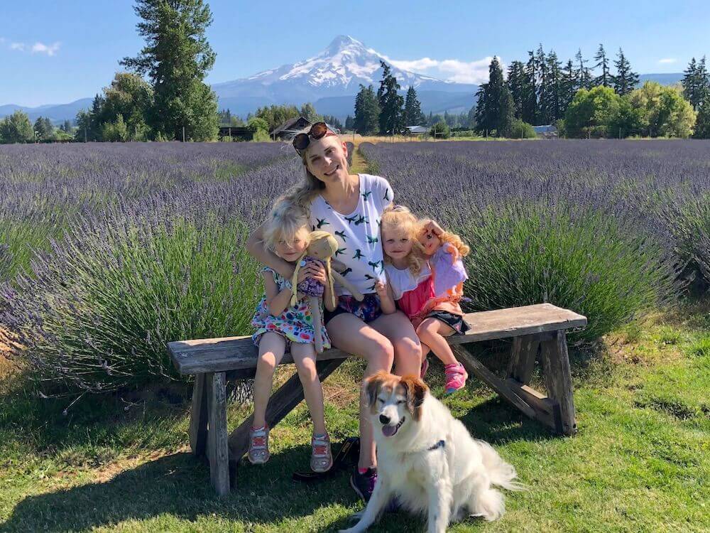 The beautiful lavender fields in USA, Lavender valley Oregon which is a dog friendly lavender field