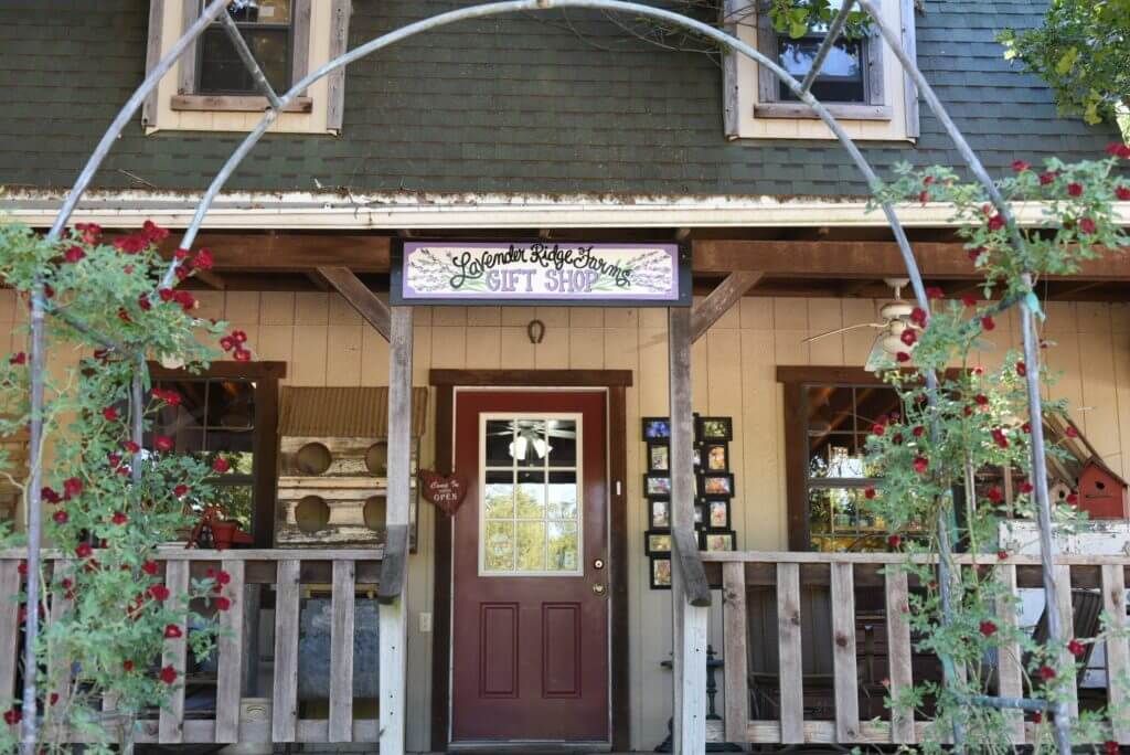 Lavender ridge farm, Gainsville, Texas. One of the most beautiful lavender fields in USA with a charming cafe