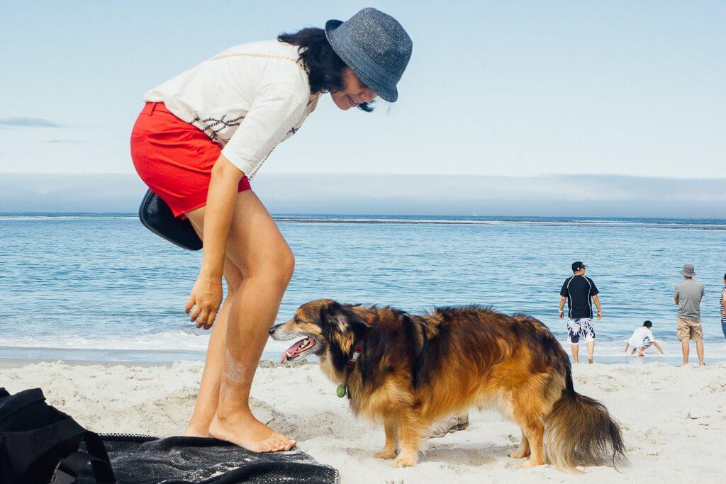 top dog friendly beaches in California, beaches that allow dogs, California dog beaches, beach vacation with dogs, pet friendly beaches in California