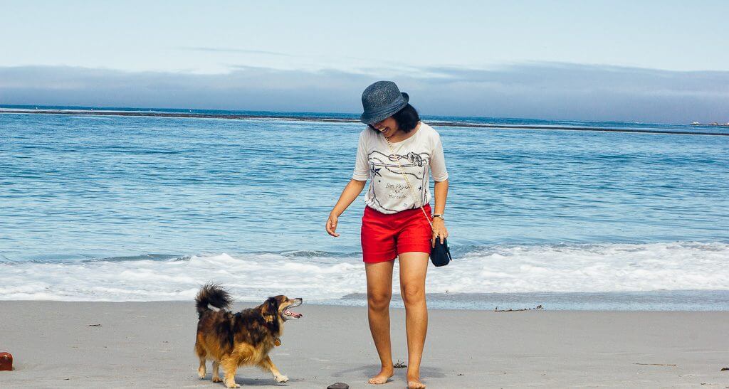 Carmel city beach is one of the most dog friendly beaches in California